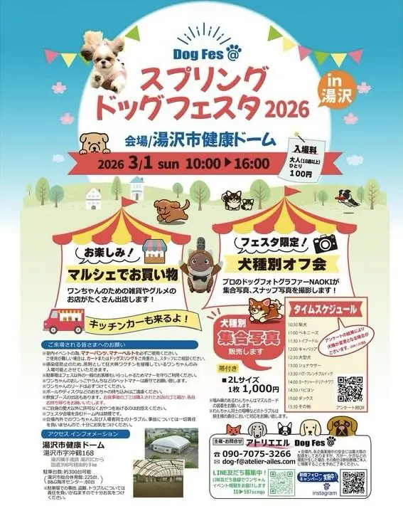 スプリングドッグフェスタ2026にクラスメイトが出店します♪